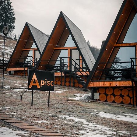 A Pisc Hotel Vatra Moldoviţei Buitenkant foto